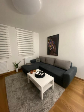 Apartment 212